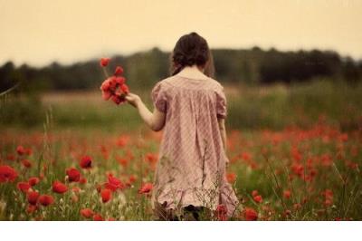 描写花的优美句子50句