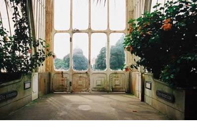 描写幸福的优美句段