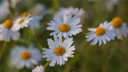 七月再见八月你好唯美句子（7月再见8月加油图片）