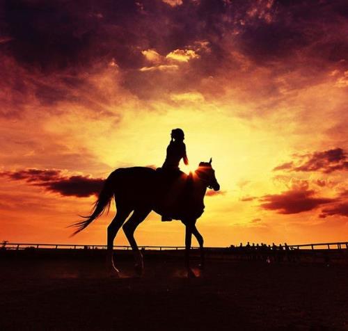 一百条设计师语录