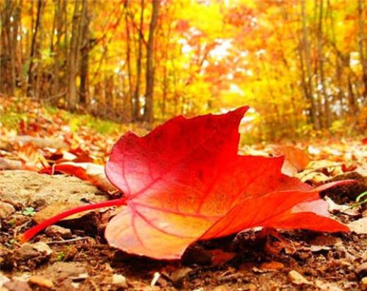 室内设计唯美语录