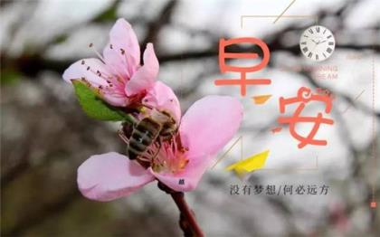 室内设计唯美语录