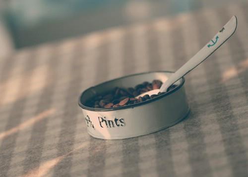 抖音上最火的短语