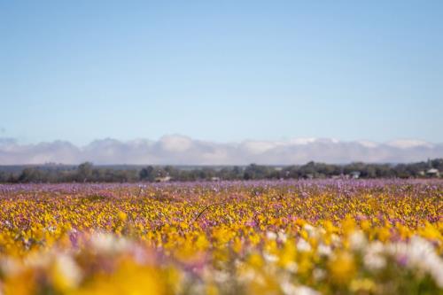 抖音个性签名大全