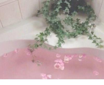 优美句子摘抄大全