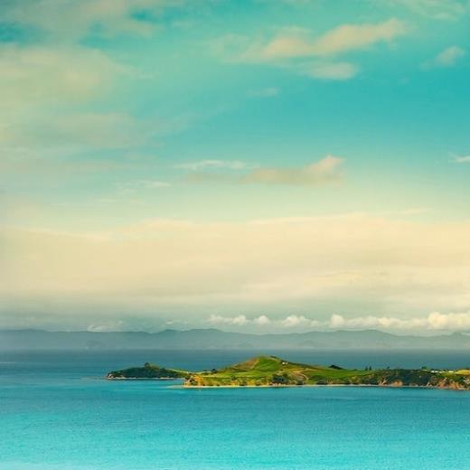 找两句优美的句子