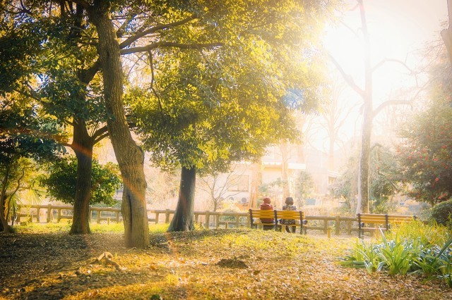 人生低谷期的说说 低谷期迷茫的说说