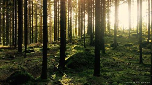 关于国庆节的句子200字