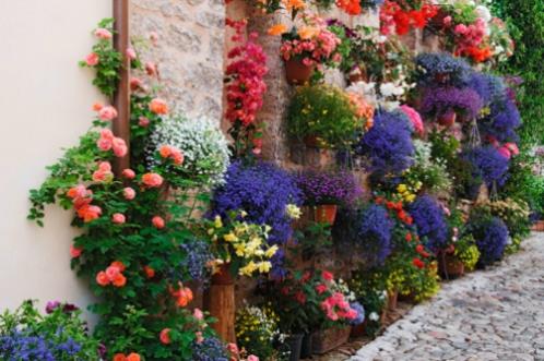 形容心态平和的句子（形容平和心态的句子）