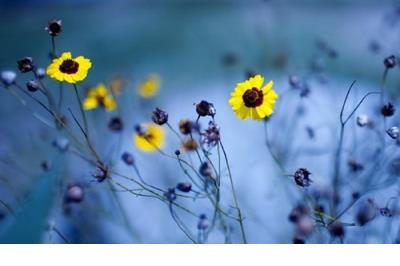 抖音上最戳心的句子