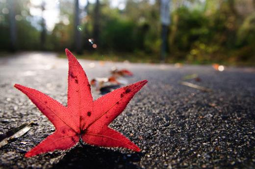 形容对女人痴情的句子