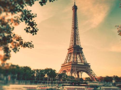 蝴蝶兰拟人句子