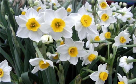 让女情人看了心疼的句子