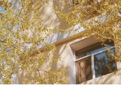 形容一个人孤独无助迷茫的句子