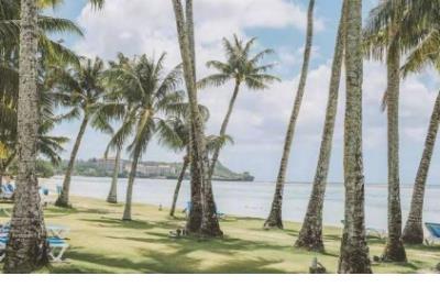 描写女人外貌的句子