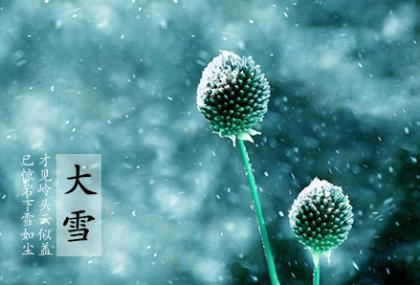 秋天落叶的句子20字