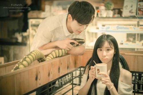 枝头上的小鸟写拟人句