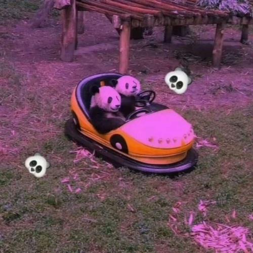 脆弱敏感的性格怎么办