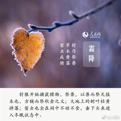 企业元旦微信公众号范文