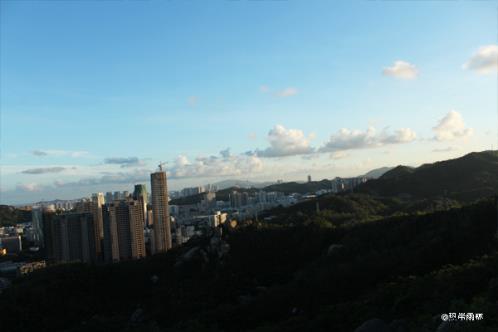 心死放弃感情的句子,死心的句子[30条]