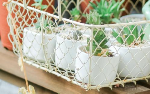 有关对不起父母的图片 含有对不起的句子