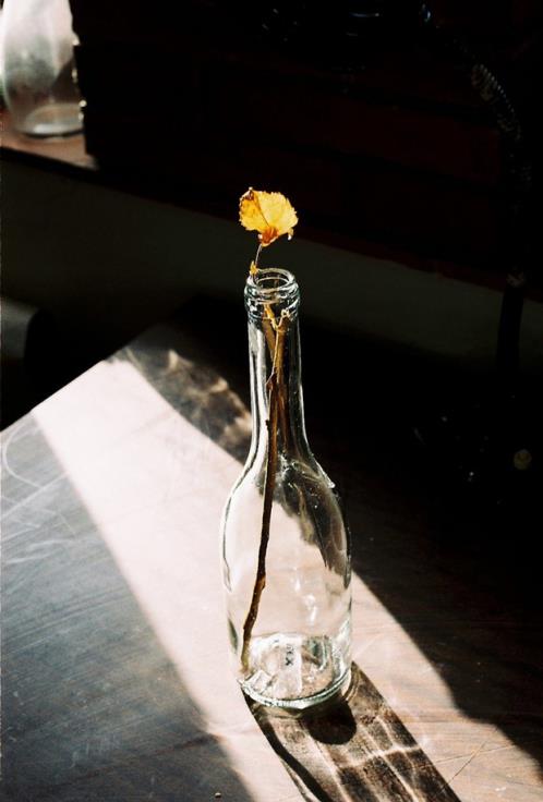 描写谷穗的优美句子（把谷穗写成拟人句）