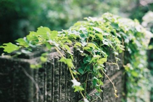 人生感悟短句100句（感悟人生哲理句子经典）