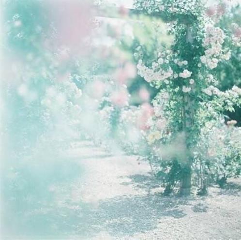 社会现实人情冷暖句子（社会很现实的经典句子）