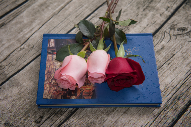 女人结不成婚不是男人的错 有时是另一个女人的错