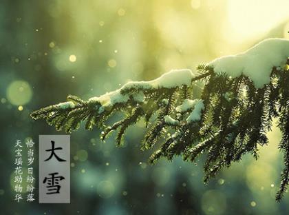 有意境的茶叶文案