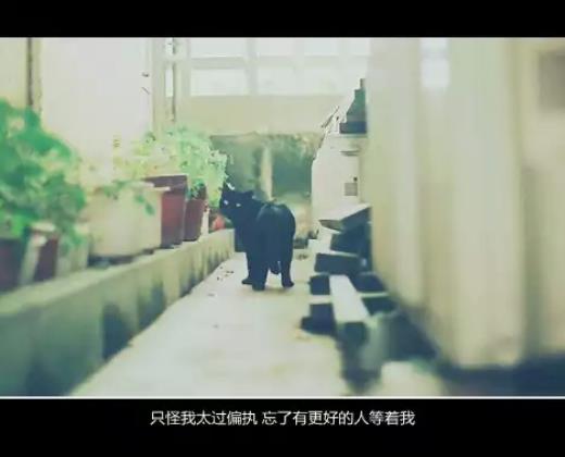 形容友情很深的句子