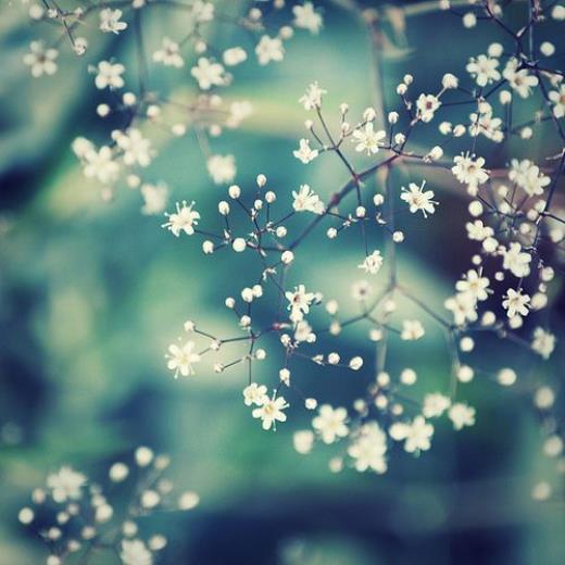 骂欠钱的人不带脏字