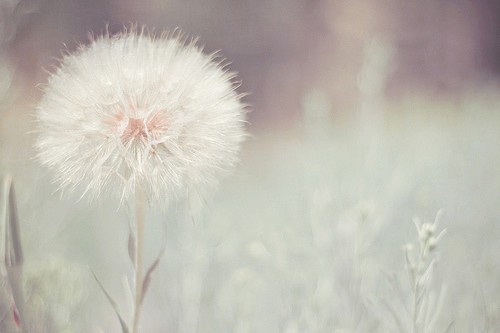 好听的句子唯美短句(精选89句)