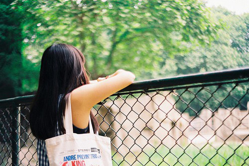 关于坚持的优美句子91句