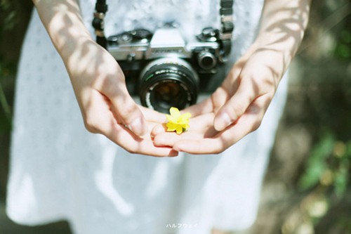 描写雪大的优美句子29句