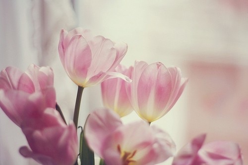 2023母亲节微信发朋友圈的祝福语(精选74句)