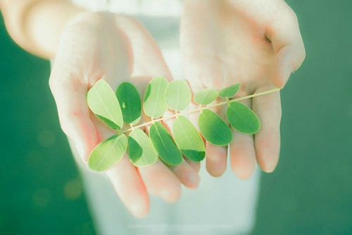 朋友圈发晚上的句子83句