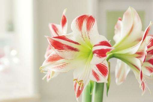 2023催账幽默句子发朋友圈(50句)