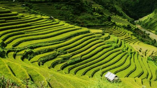 心碎文案丧到极致