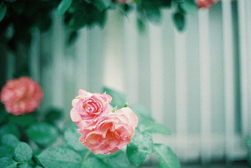 经典名人名言名句100句