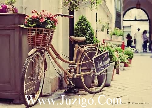 2023最经典的早安问候语文案(96句)