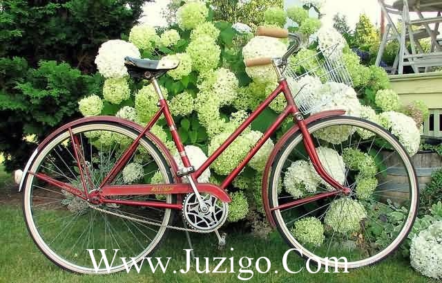 结婚祝福语古文最优美 结婚祝福语 古文(精选28句)