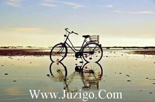 电影经典语句82句