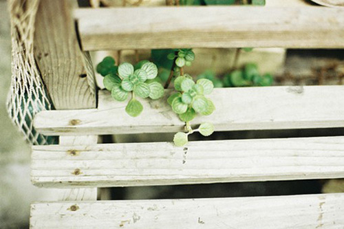 诚实守信经典格言83句