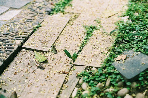 古惑仔经典语录48句