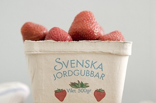 清明节防火经典宣传标语精选(85句)