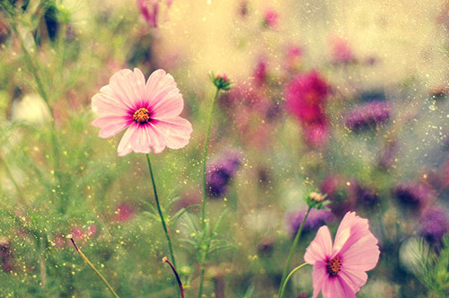 黑社会霸气吓人经典句子 很拽的(22句)