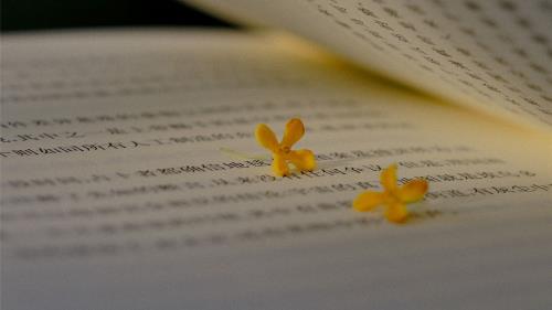 快手视频民间俗语经典俗话