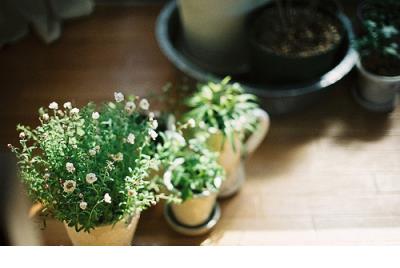 富有人生哲理的段落