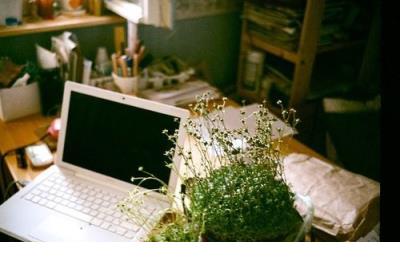 村上春树经典短句